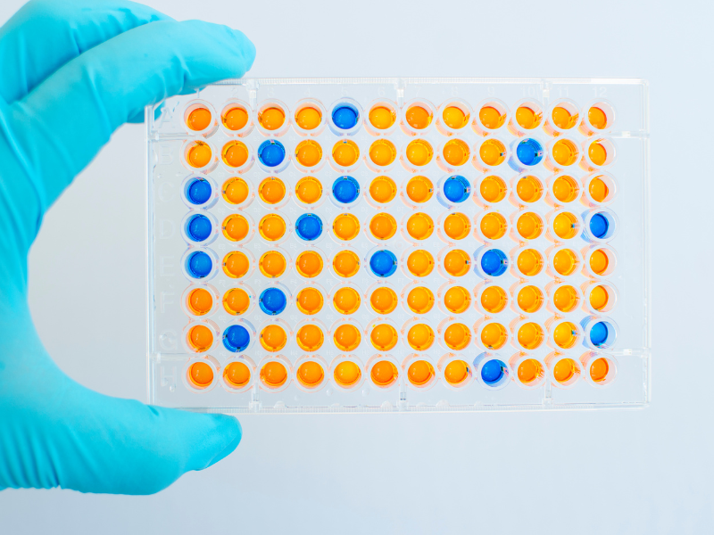 Differences Between Microplate Readers and Spectrophotometers Conquer