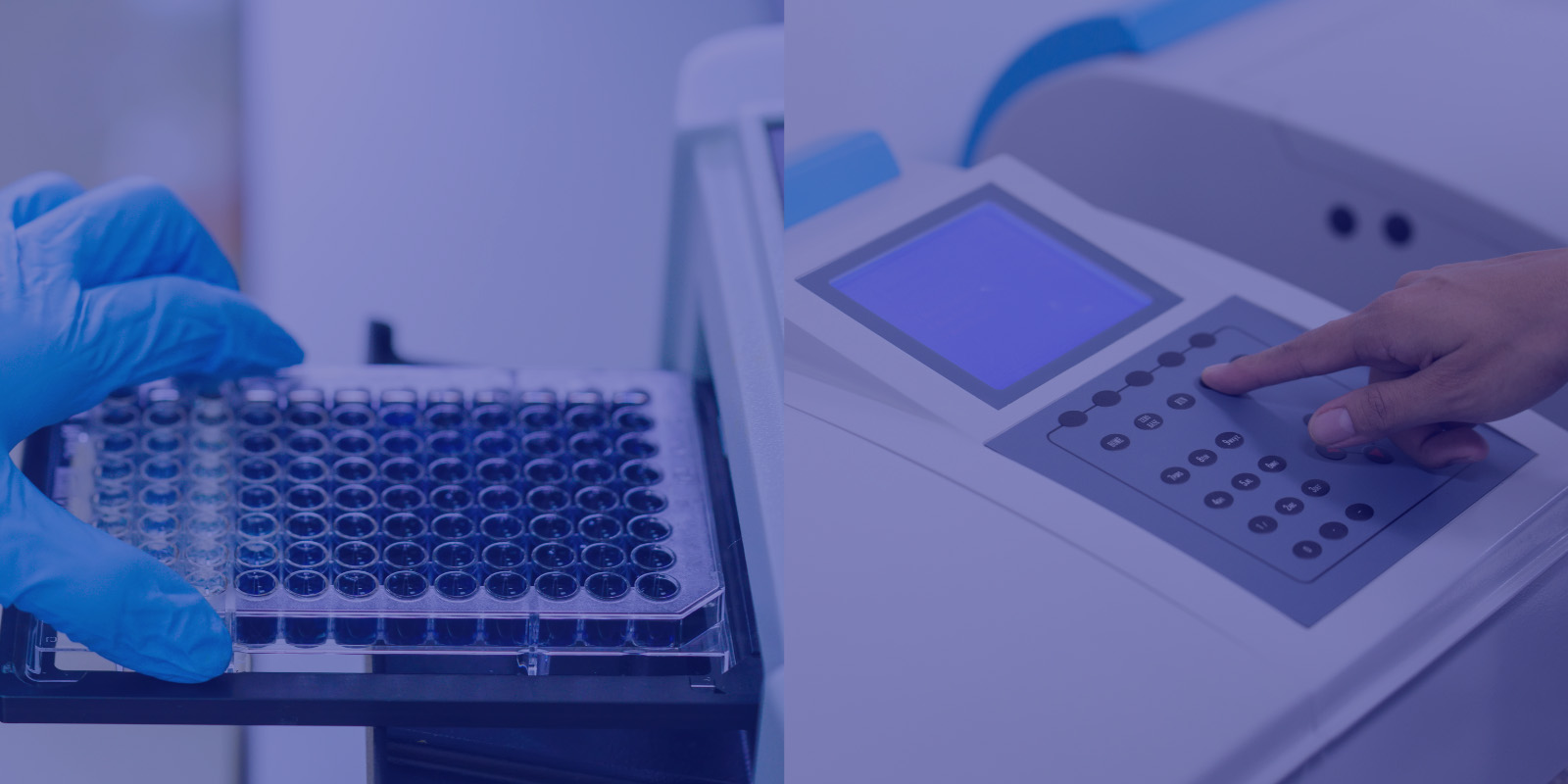 Differences Between Microplate Readers and Spectrophotometers