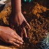 sustainable agriculture