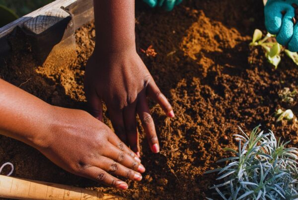 sustainable agriculture