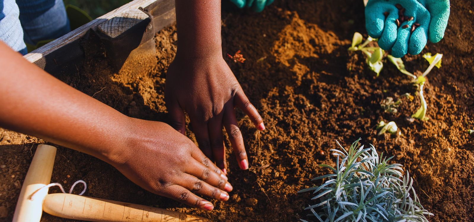 Decoding Soil Composition with Ion Chromatography for Sustainable Agriculture