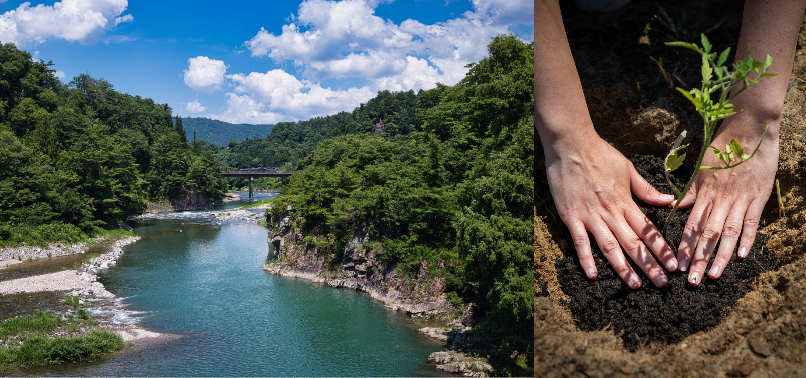 PFAS Detection with Ion Chromatography: The Next Generation of Analytical Methods